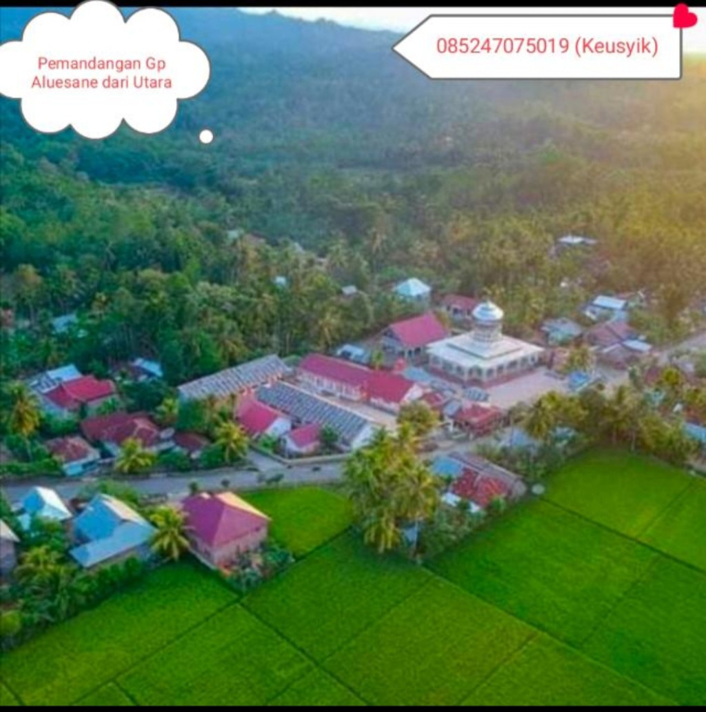 Gambaran Gampong Alue Sane dari udara